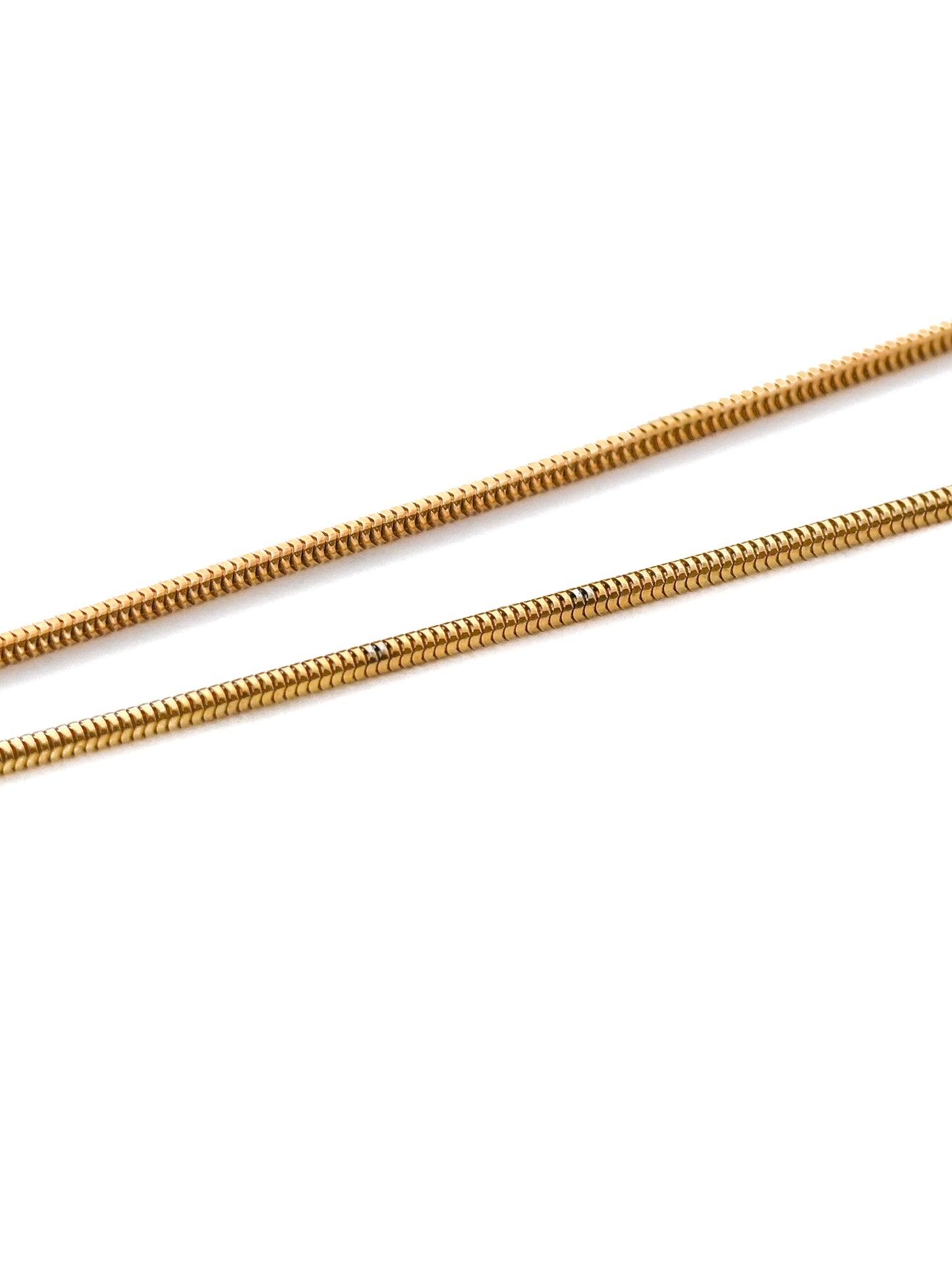Dior Pumpkin Carriage Monogram Medallion Snake Bone Chain Necklace
